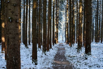 winter