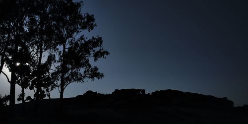 Low angle view of silhouette trees against clear sky at night