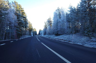 Empty road along trees