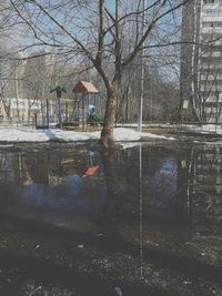 Bare trees by lake against building