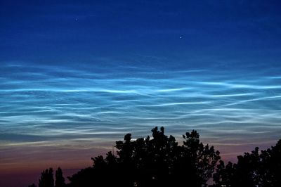 Low angle view of silhouette trees against sky at night