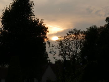 Silhouette trees against sky during sunset