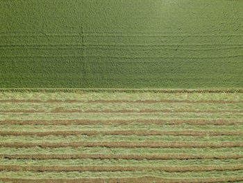 Aerial view of a plowed field