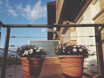 Flower pots by railing at balcony