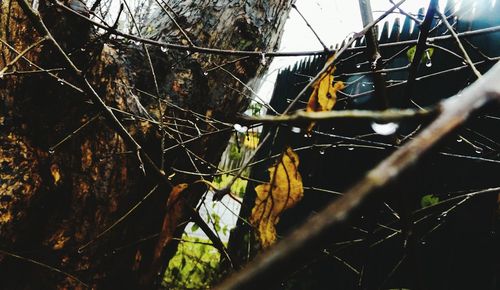 Low angle view of chainlink fence