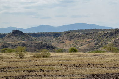 The arid landscapes of lake magadi, rift valley, kenya