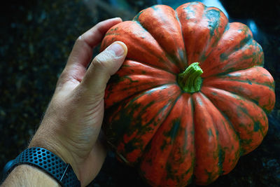 Close-up of hand holding pumpkin