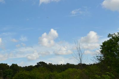 Scenic view of landscape against cloudy sky