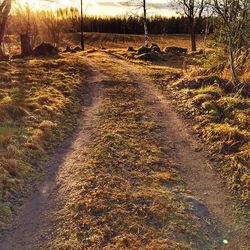 Road passing through field
