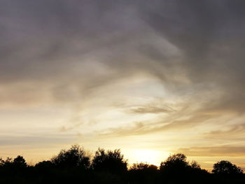 Low angle view of silhouette trees against sky during sunset