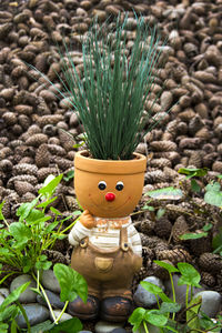 Grass growing in flower pot with anthropomorphic face