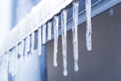 Low angle view of icicles hanging on snow