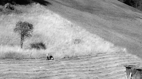 People on riverbank against trees