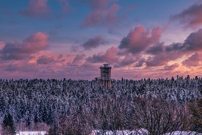 Panoramic shot of plants and trees on field against sky during sunset