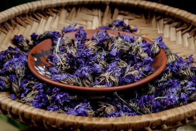 Close-up of purple flowering plants in basket