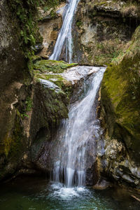 Scenic view of waterfall in forest