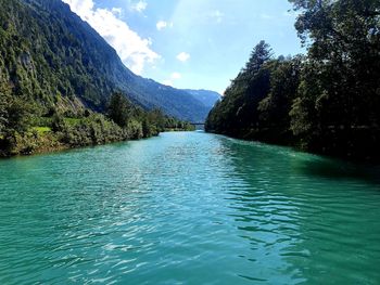 Scenic view of lake in forest against sky