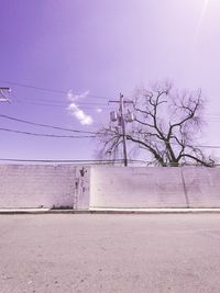 Bare trees on field against sky
