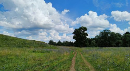 Blue sky with clouds over green hilly field with country road