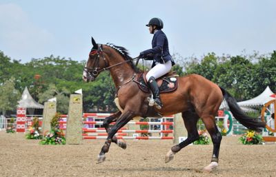 Side view of young man riding horse at barn against sky