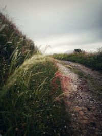 Surface level of land against sky