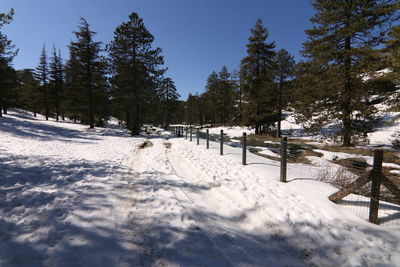 snow