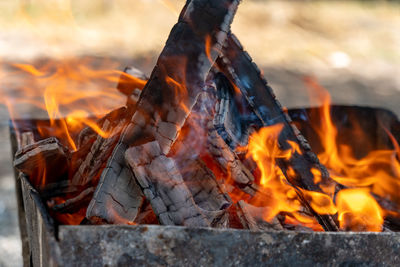 Close-up of fire on log