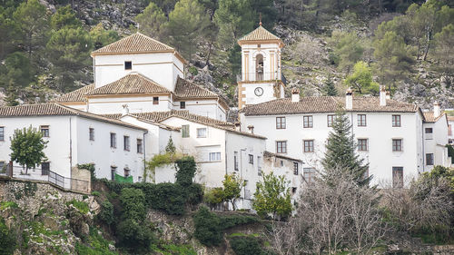 Buildings in town