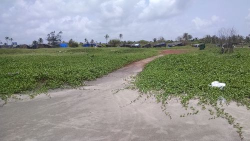 Scenic view of field against cloudy sky