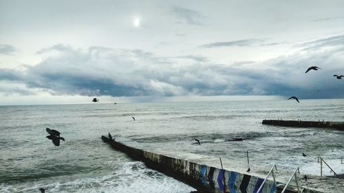 Seagulls flying over sea against sky