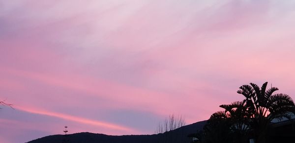 Silhouette trees against sky during sunset