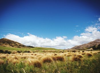 Scenic view of landscape against cloudy sky