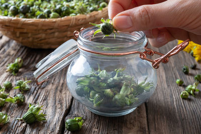 Midsection of person holding plant