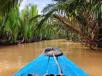 Palm tree by boat against blue sky