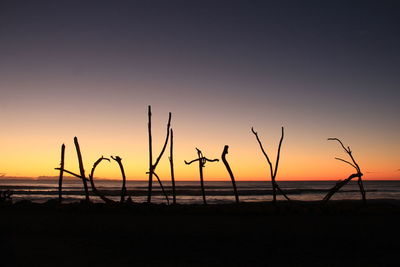 Silhouette plants by sea against sky during sunset
