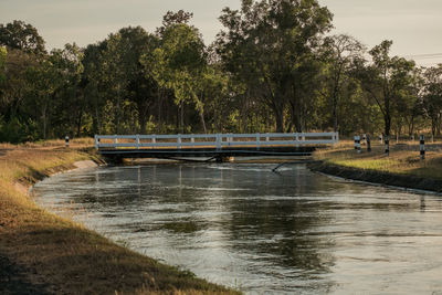 Scenic view of river against trees