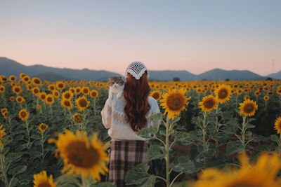 Rear view of woman standing by flowering plants on field against clear sky