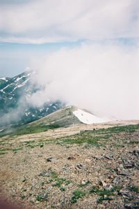 nature