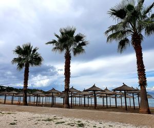 Palm trees on beach against sky