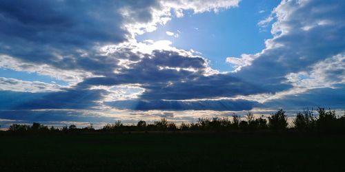 Silhouette trees on field against sky