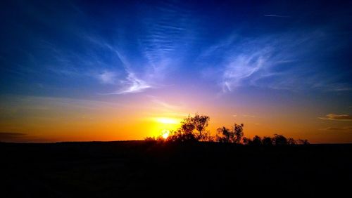 Silhouette of trees at sunset