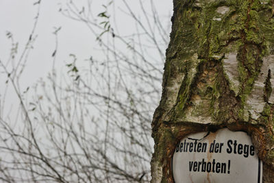 Close-up of sign on tree trunk