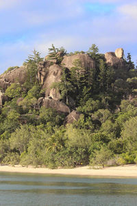 Plants and rocks by trees against sky