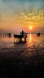 Silhouette man riding horse cart at beach during sunset