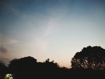 Low angle view of silhouette trees against sky at sunset