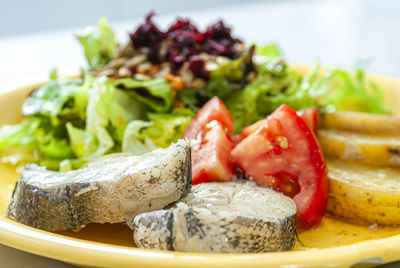 Close-up of food served in plate