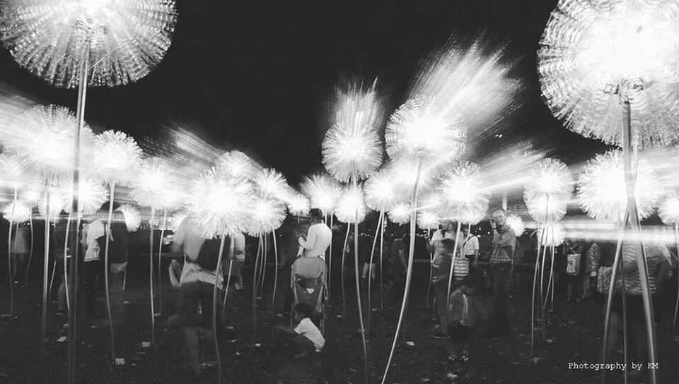 illuminated, night, celebration, event, arts culture and entertainment, firework display, exploding, firework - man made object, firework, sparks, long exposure, celebration event, motion, glowing, lighting equipment, low angle view, outdoors, light - natural phenomenon, large group of people, entertainment