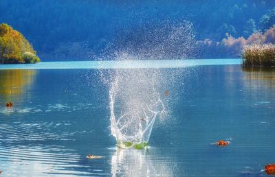 Swimming pool in lake