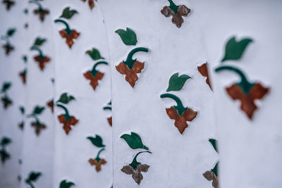 Close-up of ice cream against white wall