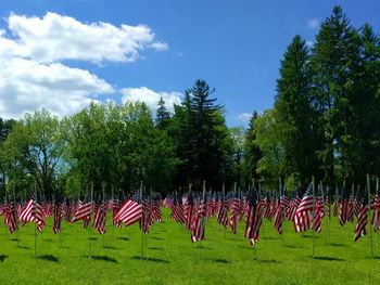 Scenic view of flags on field against sky